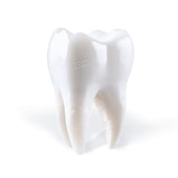 Release Cover Porij - Teething