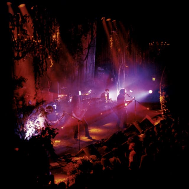 Release Cover My Morning Jacket - Okonokos