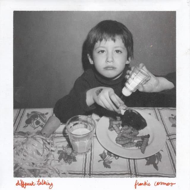 Release Cover Frankie Cosmos - Different Talking
