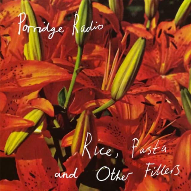 Release Cover Porridge Radio - Rice, Pasta And Other Fillers