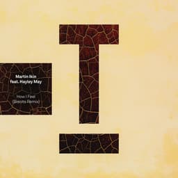 Release Cover Martin Ikin, Hayley May, Biscits - How I Feel (Biscits Remix)