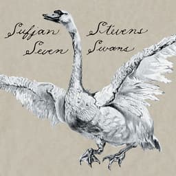 Release Cover Sufjan Stevens - Seven Swans