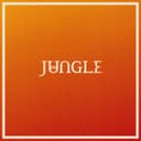 Release Cover Jungle - Back On 74