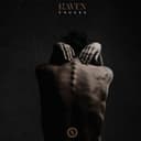 Release Cover Haven - Causes