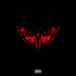 Release Cover Lil Wayne - I Am Not A Human Being II (Deluxe)