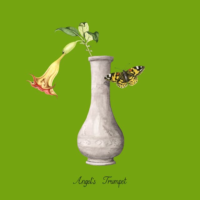Release Cover John Glacier - Angel's Trumpet