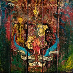 Release Cover Coil - Love's Secret Domain (30th Anniversary 2021 Remaster) [Bonati]