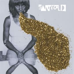 Release Cover Santigold - Santigold