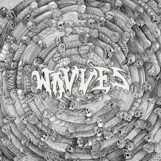 Release Cover Wavves - Spun