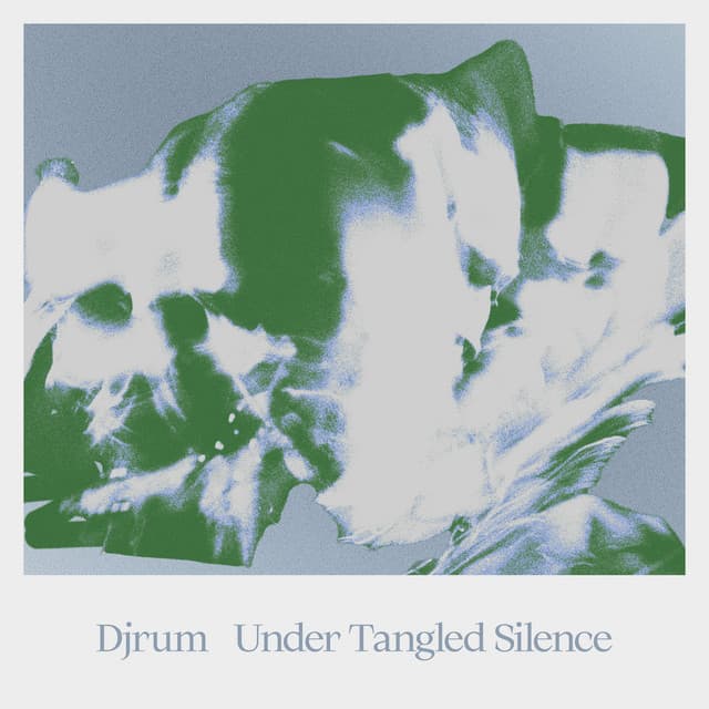 Release Cover DjRUM - Under Tangled Silence