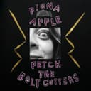 Release Cover Fiona Apple - Fetch The Bolt Cutters
