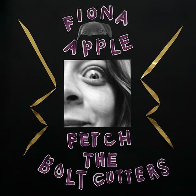 Release Cover Fiona Apple - Fetch The Bolt Cutters