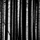 Release Cover Blakmoth - The Space Between