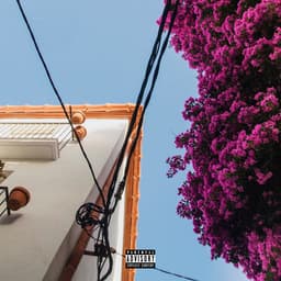 Release Cover raspy - meadow