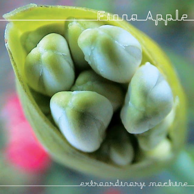 Release Cover Fiona Apple - Extraordinary Machine