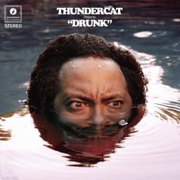 Release Cover Thundercat - Drunk