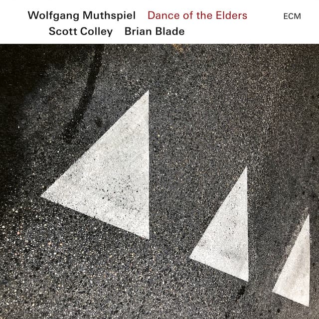 Release Cover Wolfgang Muthspiel, Scott Colley, Brian Blade - Dance of the Elders