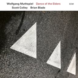 Release Cover Wolfgang Muthspiel, Scott Colley, Brian Blade - Dance of the Elders