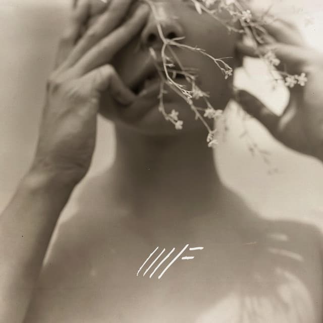 Release Cover Mother Falcon - You Knew