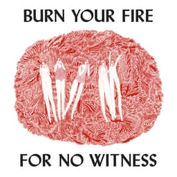 Release Cover Angel Olsen - Burn Your Fire For No Witness (Deluxe Edition)