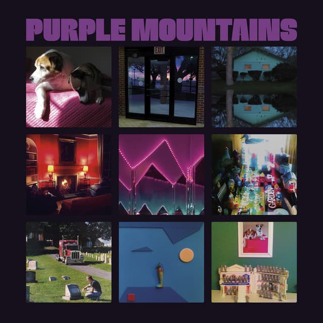 Release Cover Purple Mountains - Purple Mountains