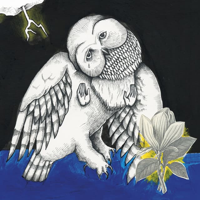 Release Cover Songs: Ohia, Jason Molina - Magnolia Electric Co. (Deluxe Edition)