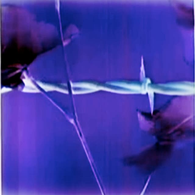 Release Cover Dean Blunt - Muggy Vol.1