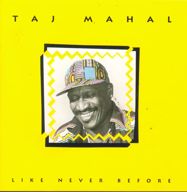 Release Cover Taj Mahal - Like Never Before