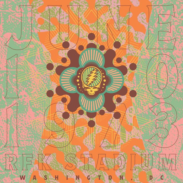Release Cover Grateful Dead - RFK Stadium, Washington, DC, 6/10/73 (Live)