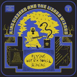 Release Cover King Gizzard & The Lizard Wizard - Flying Microtonal Banana