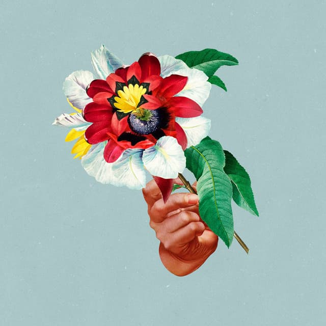 Release Cover Maribou State - Kingdoms In Colour