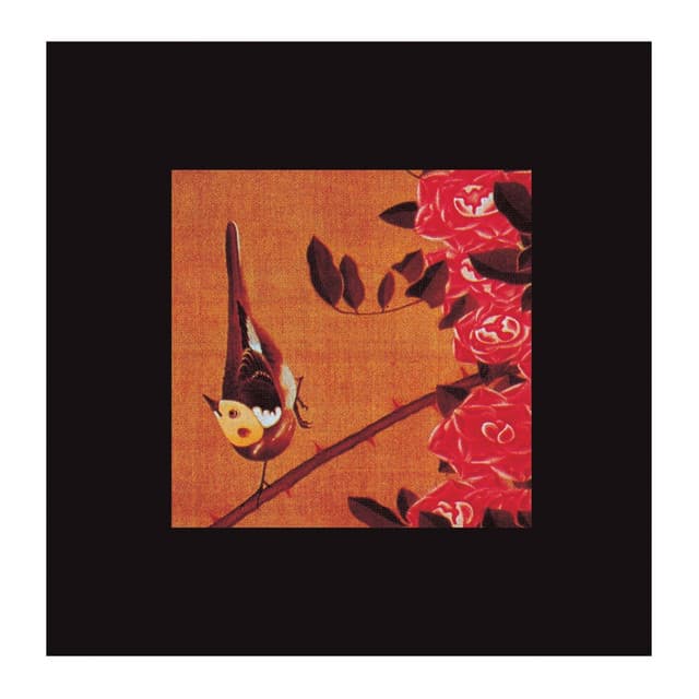 Release Cover Susumu Yokota - The Boy and The Tree