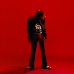 Release Cover DPR IAN - Moodswings In To Order