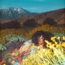 Release Cover Brittany Howard - What Now