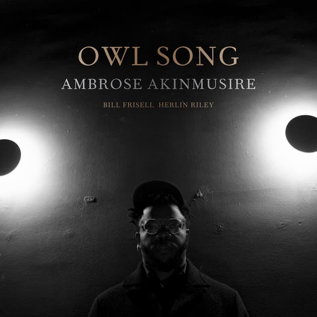 Release Cover Ambrose Akinmusire - Owl Song