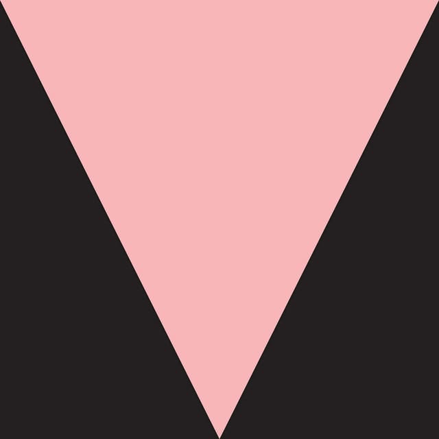 Release Cover Meshell Ndegeocello - Ventriloquism