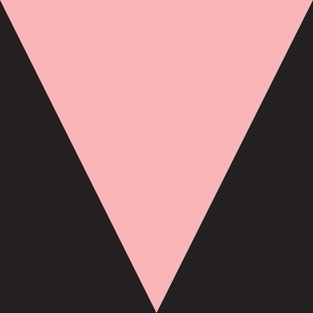 Release Cover Meshell Ndegeocello - Ventriloquism