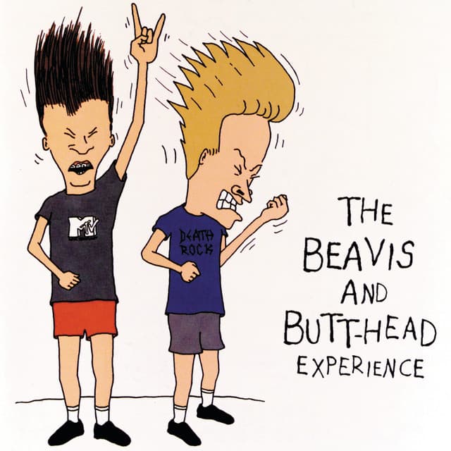 Release Cover Various Artists - The Beavis And Butt-Head Experience