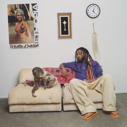 Release Cover Aminé - 13 Months of Sunshine