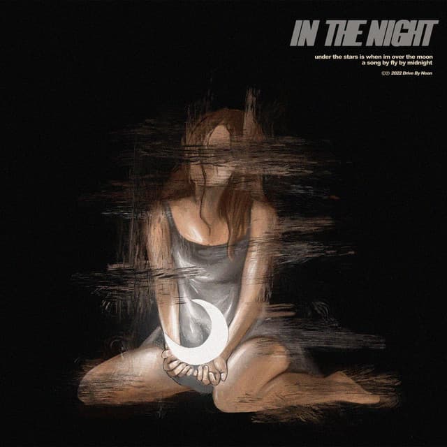Release Cover Fly By Midnight - In The Night
