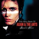 Cover of The Very Best Of by Adam Ant