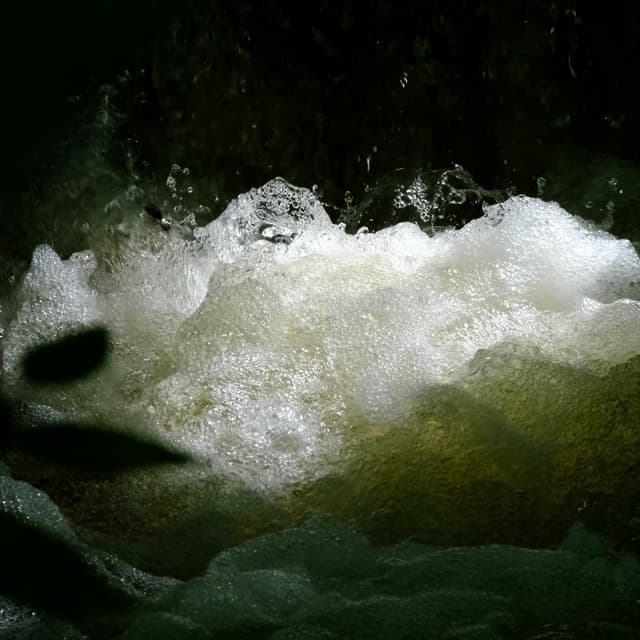 Release Cover Photay, Carlos Niño - More Offerings