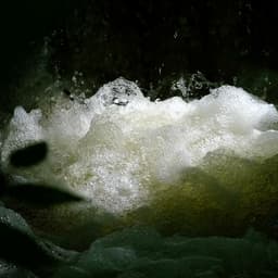 Release Cover Photay, Carlos Niño - More Offerings