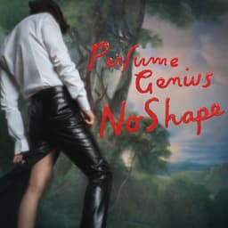 Release Cover Perfume Genius - No Shape