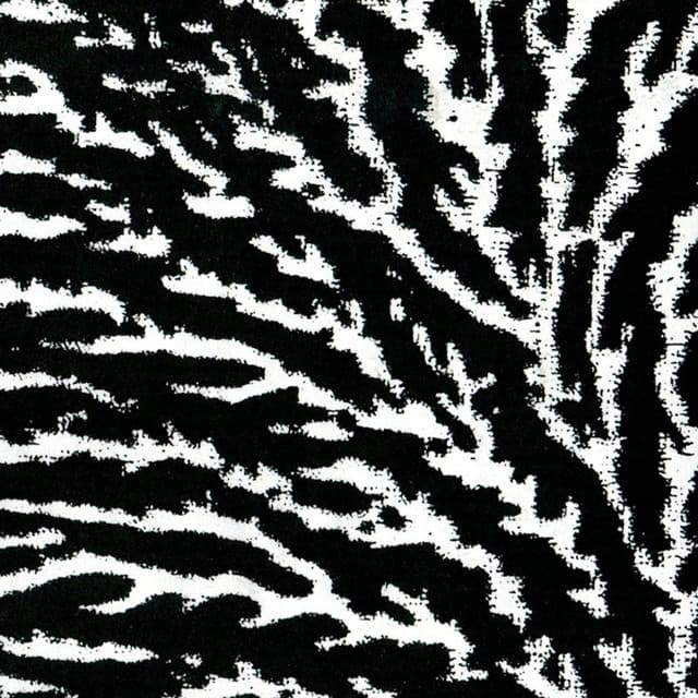 Release Cover Grouper - Cover the Windows and the Walls