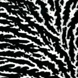 Release Cover Grouper - Cover the Windows and the Walls