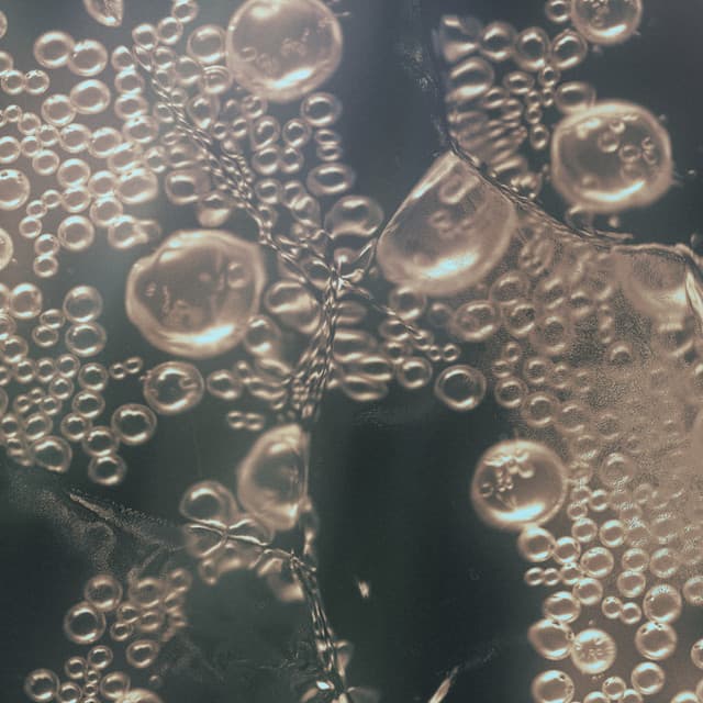 Release Cover marucoporoporo - Conceive the Sea