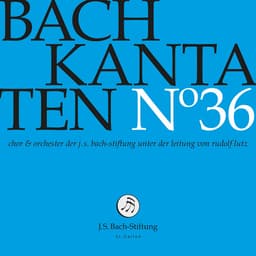 Release Cover Johann Sebastian Bach, Orchester der J. S. Bach-Stiftung, Chor der J. S. Bach-Stiftung, Rudolf Lutz - J.S. Bach: Cantatas, Vol. 36 (Live)