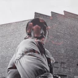 Release Cover Aldous Harding - Warm Chris