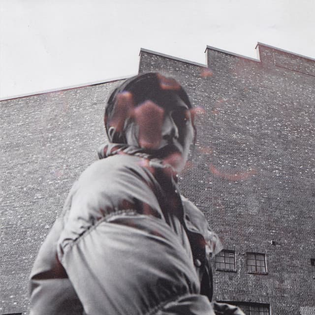 Release Cover Aldous Harding - Warm Chris